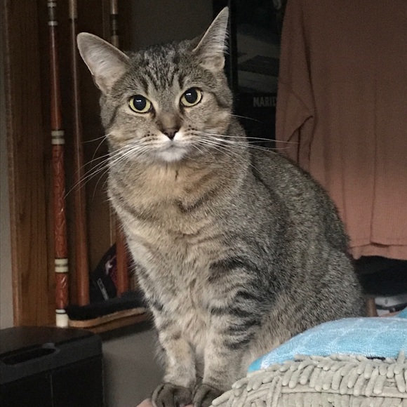 Meet your Posher, Kayla - Picture 2 of 5